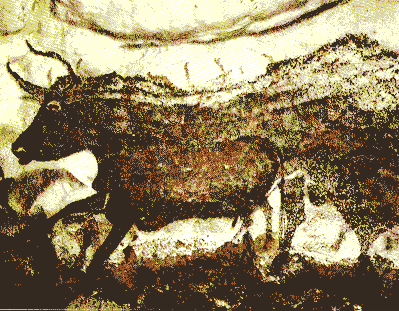 Рис. 31. Черный бык (ок. 17 т. л. назад) Ляско. 